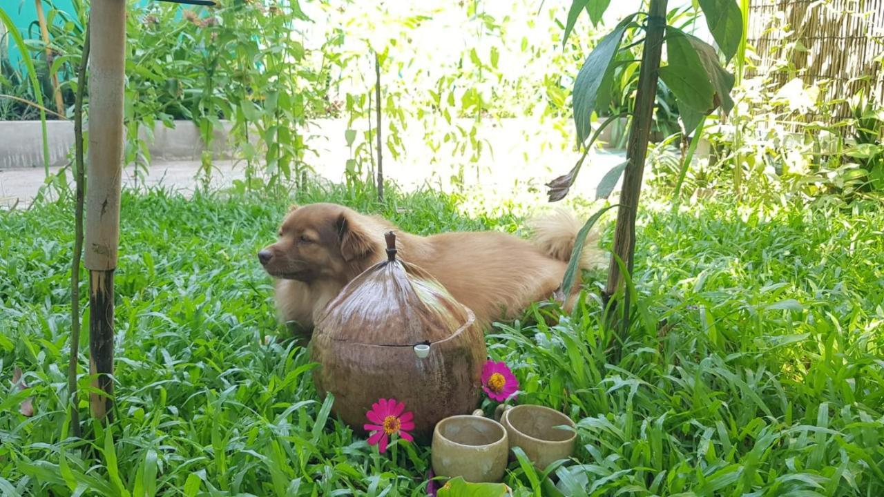 Bloom Garden Bed & Breakfast Appartement Siem Reap Buitenkant foto