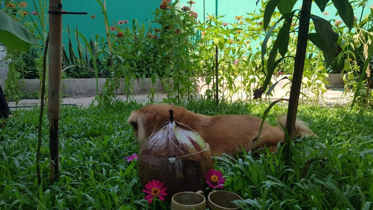 Bloom Garden Bed & Breakfast Appartement Siem Reap Buitenkant foto