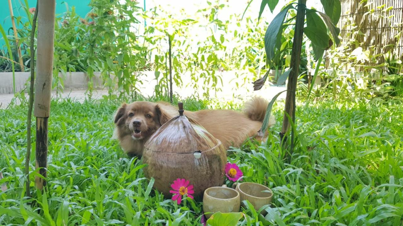 Bloom Garden Bed & Breakfast Appartement Siem Reap Buitenkant foto