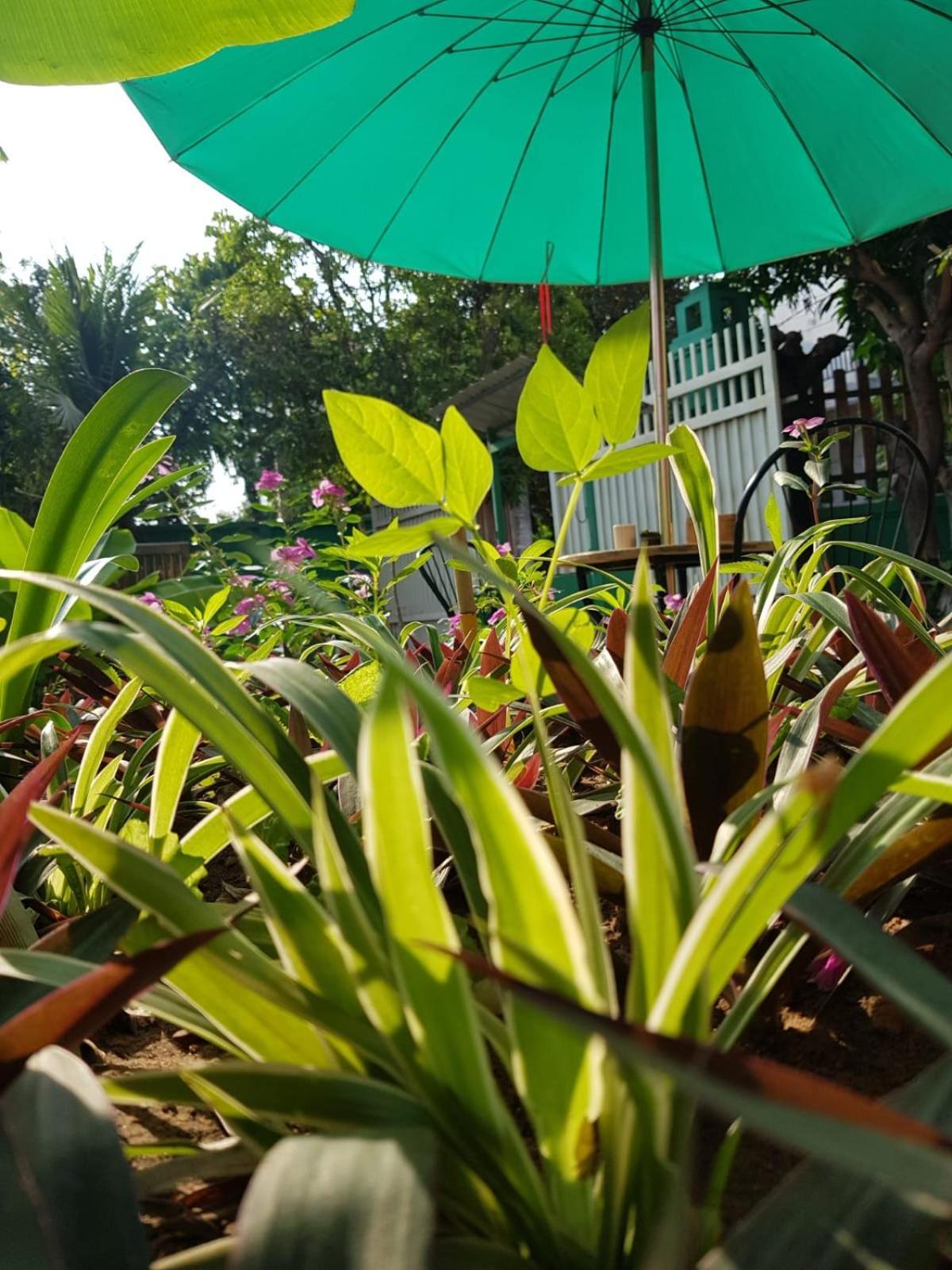 Bloom Garden Bed & Breakfast Appartement Siem Reap Buitenkant foto