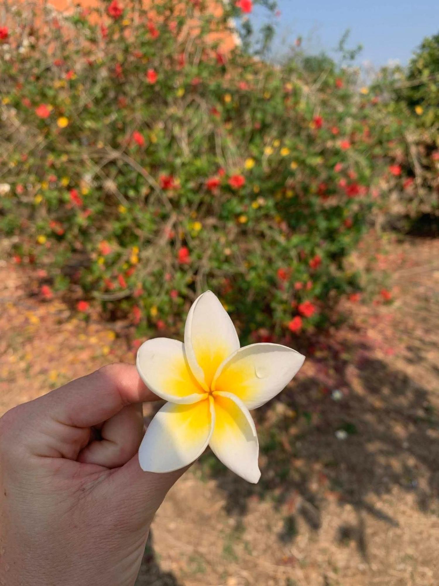 Bloom Garden Bed & Breakfast Siem Reap Buitenkant foto