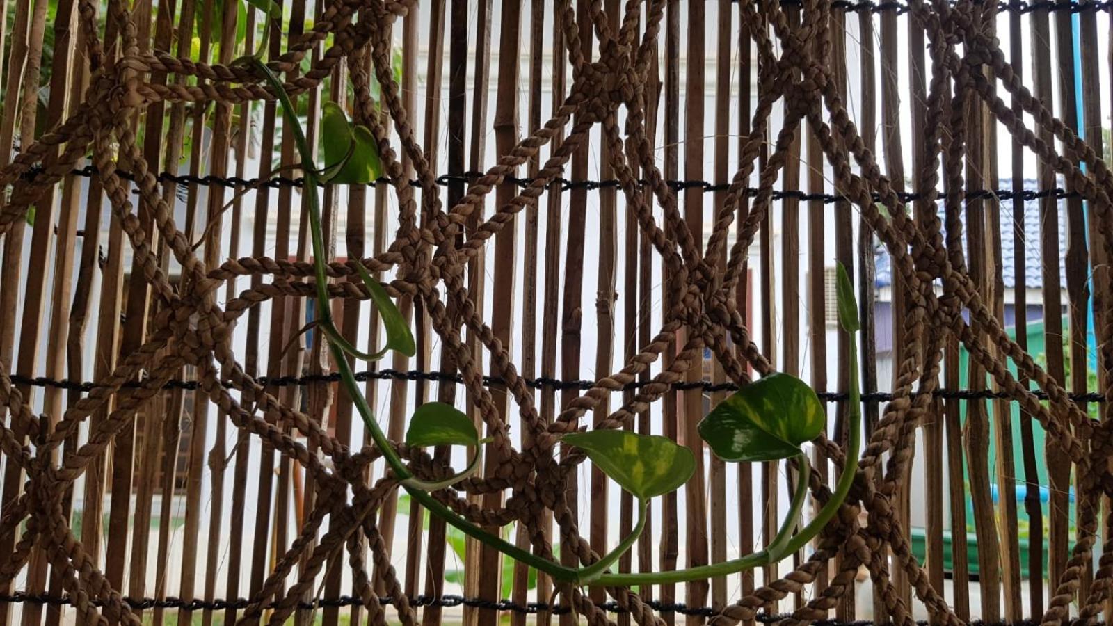 Bloom Garden Bed & Breakfast Siem Reap Buitenkant foto