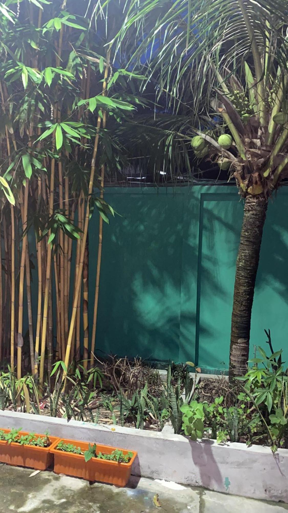 Bloom Garden Bed & Breakfast Siem Reap Buitenkant foto
